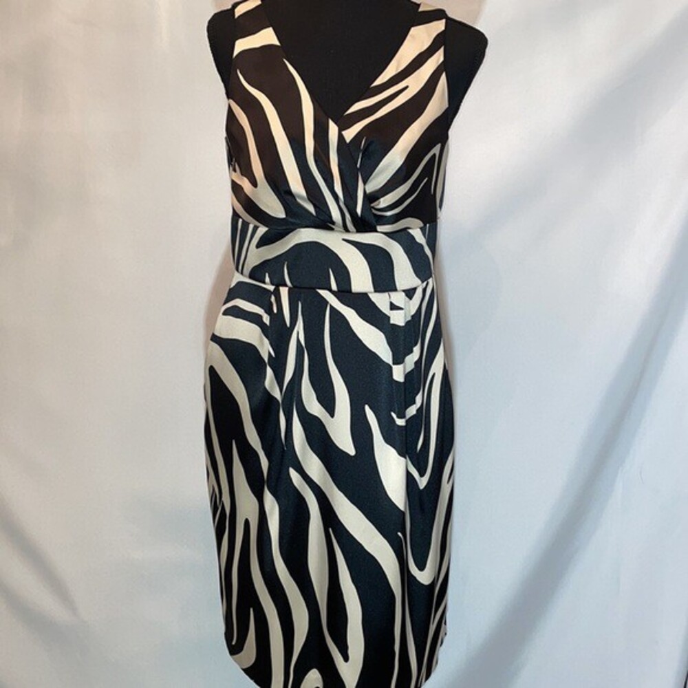 Dress barn Collection Zebra Print